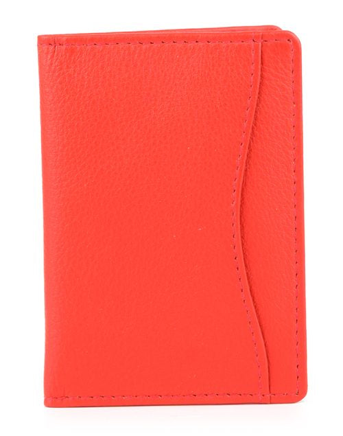 Travel Card Holder