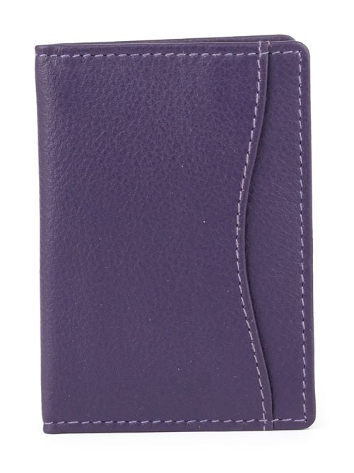 Travel Card Holder