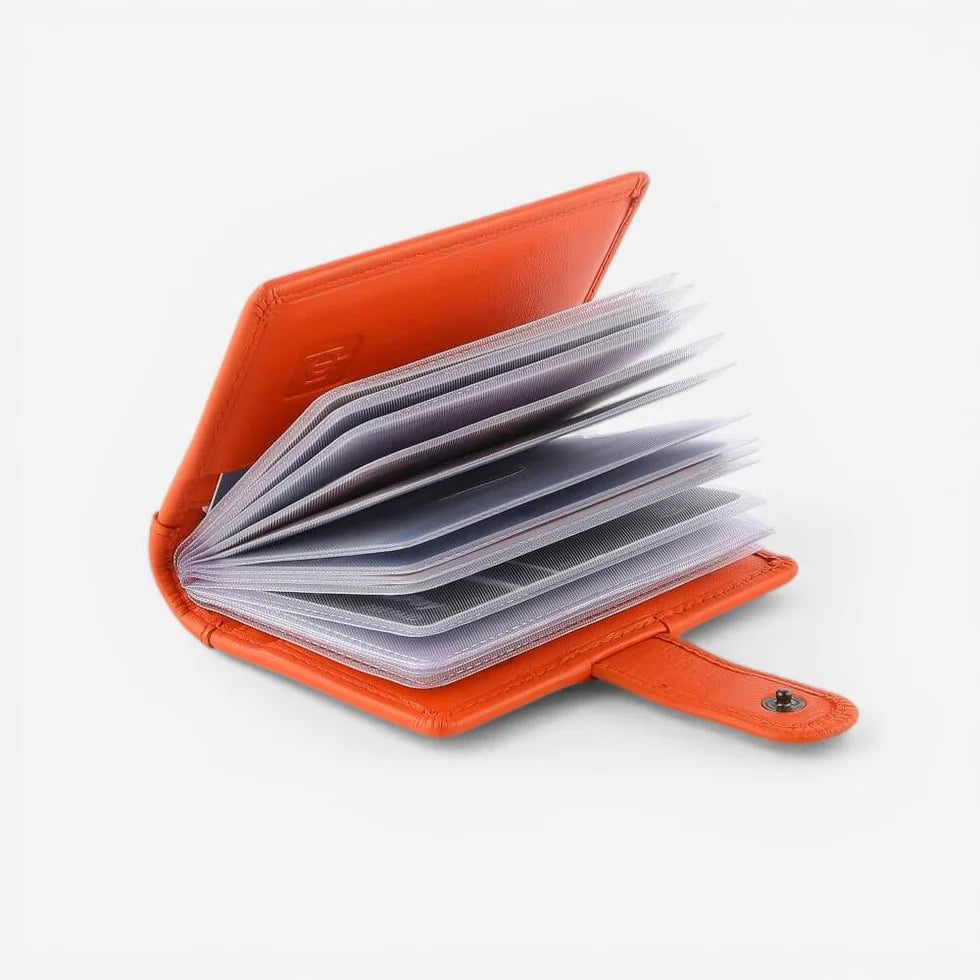Credit Card Holder