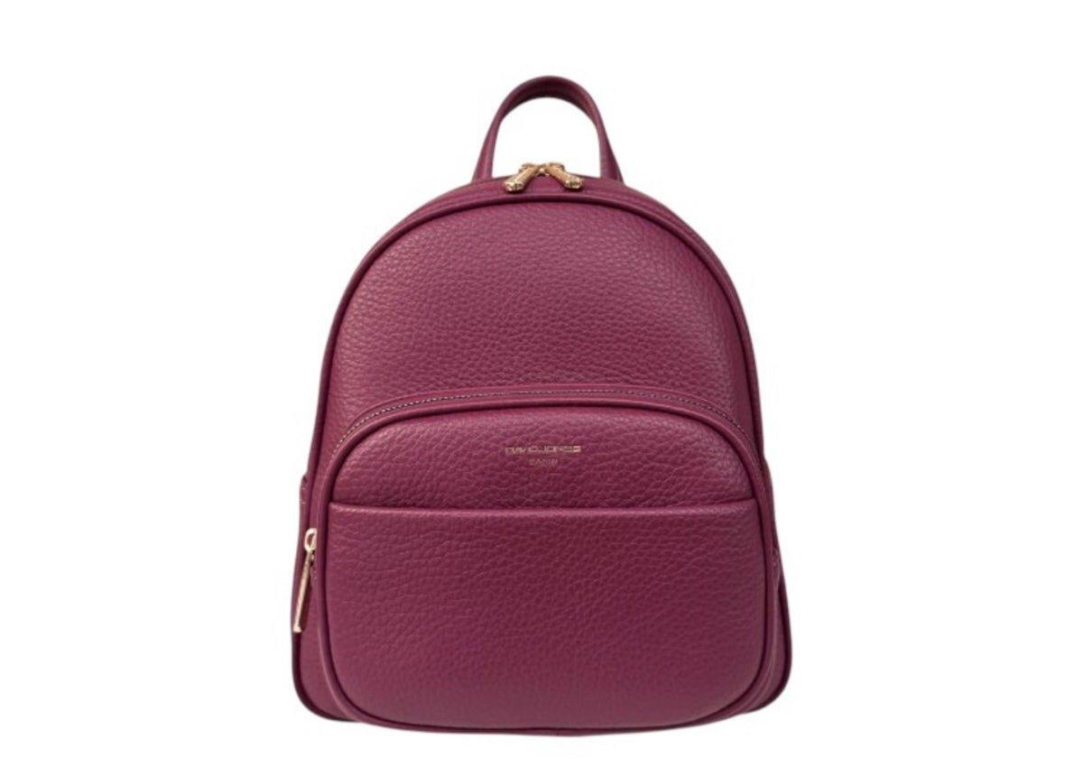 David Jones Backpack 7000-2