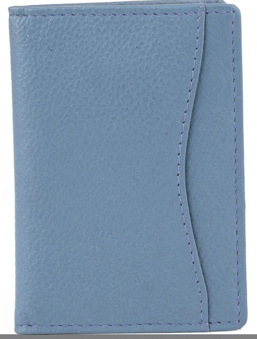Travel Card Holder