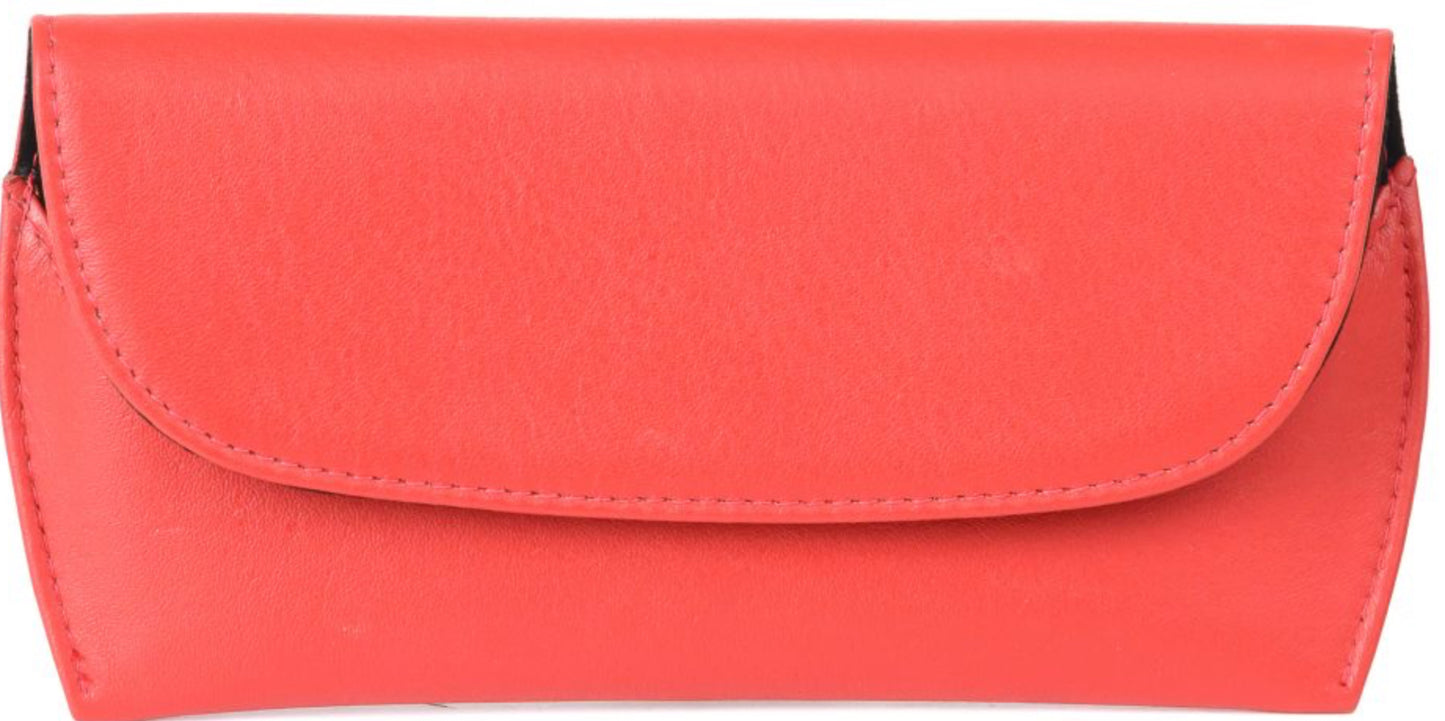Glasses Case